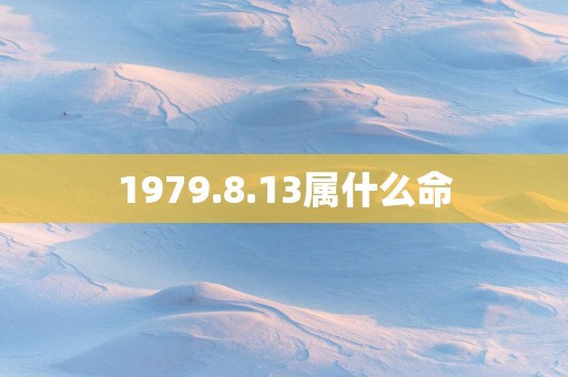 1979.8.13属什么命