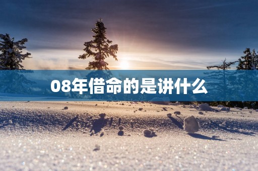 08年借命的是讲什么