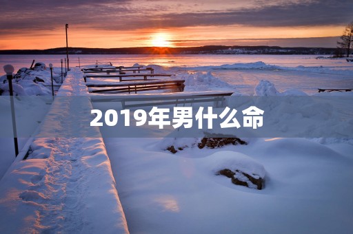2019年男什么命 2019年男什么命