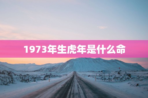 1973年生蛇年是什么命