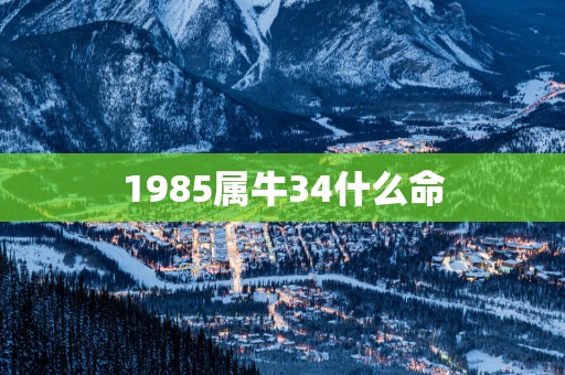 1985属牛34什么命
