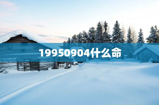 19950904什么命