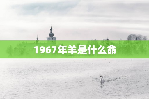 1967年羊是什么命