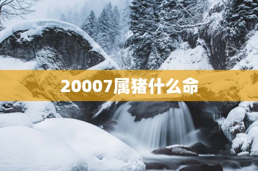 20007属猪什么命