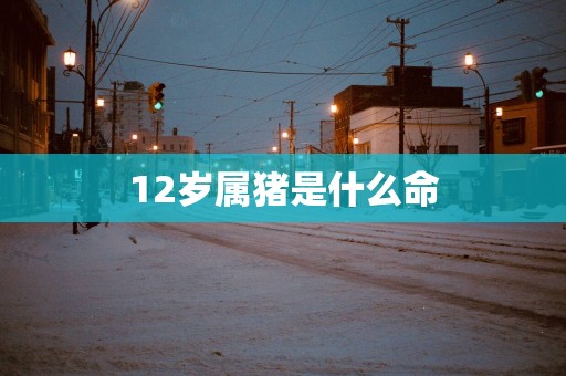 12岁属猪是什么命