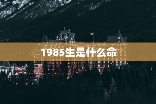 1985生是什么命