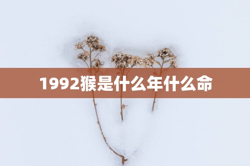 1992猴是什么年什么命