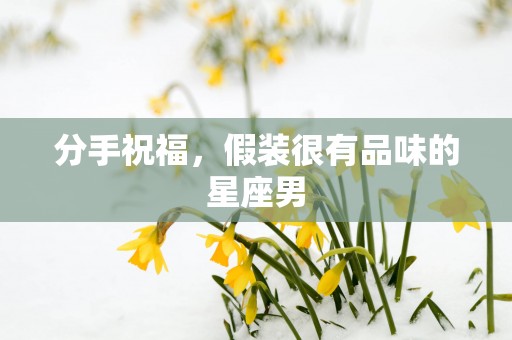 分手祝福，假装很有品味的星座男