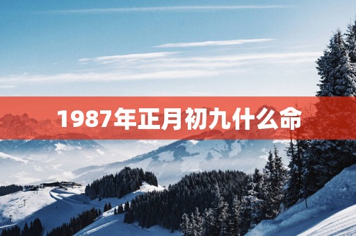 1987年正月初九什么命