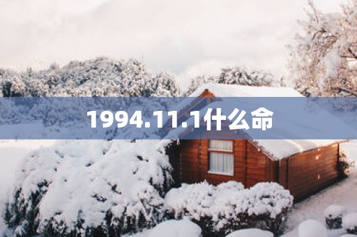 1994.11.1什么命