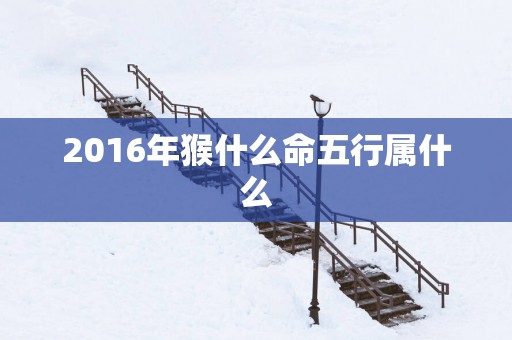 2016年猴什么命五行属什么