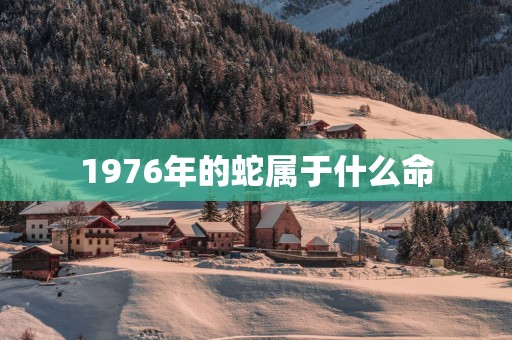 1976年的蛇属于什么命