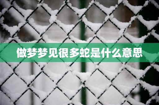 做梦梦见很多蛇是什么意思