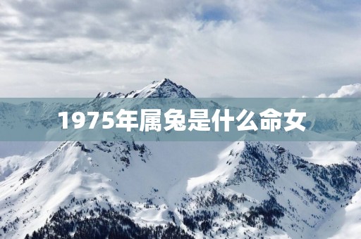 1975年属兔是什么命女