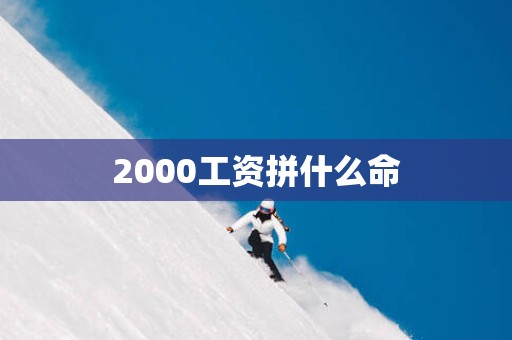 2000工资拼什么命