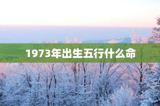 1973年出生五行什么命