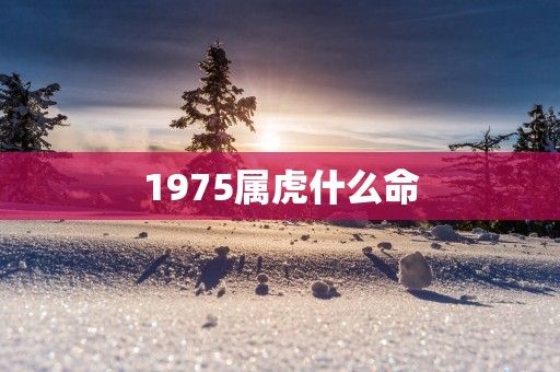 1975属虎什么命