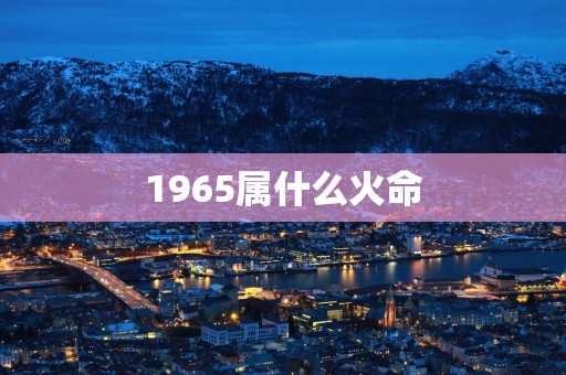 1965属什么火命