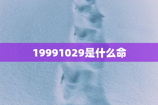 19991029是什么命