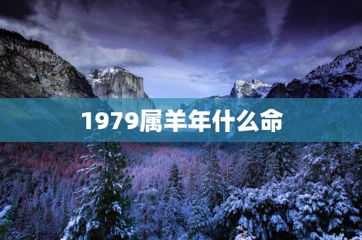 1979属羊年什么命