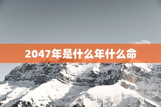 2047年是什么年什么命