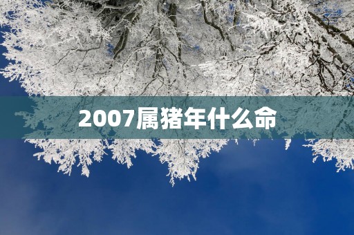 2007属猪年什么命