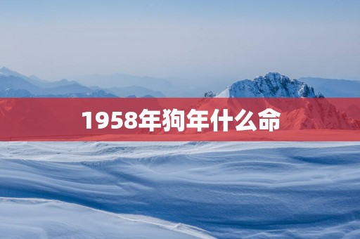 1958年狗年什么命