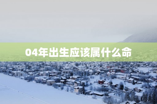 04年出生应该属什么命