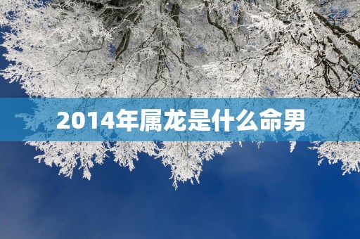 2014年属龙是什么命男