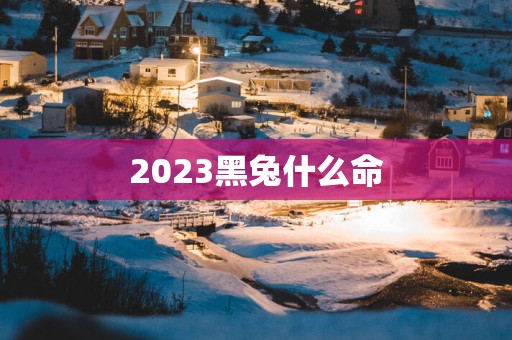 2025黑兔什么命