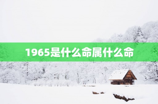 1965是什么命属什么命