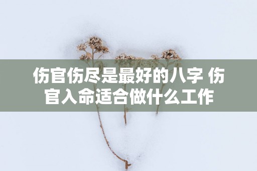 伤官伤尽是最好的八字 伤官入命适合做什么工作