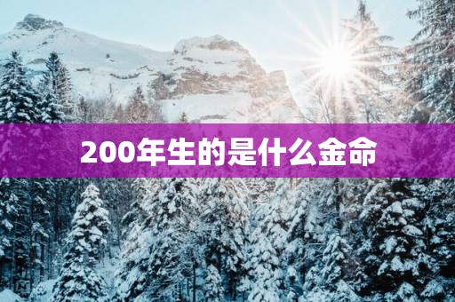 200年生的是什么金命