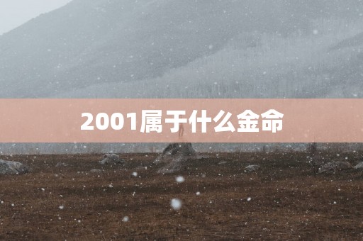 2001属于什么金命