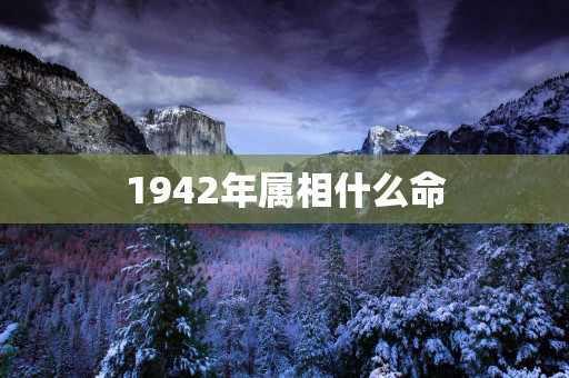 1942年属相什么命