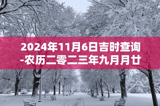 2025年11月6日吉时查询-农历二零二三年九月月廿三日时辰吉凶