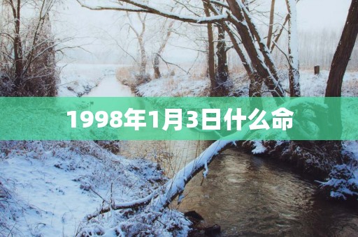 1998年1月3日什么命