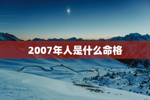 2007年人是什么命格 2007年人是什么命格