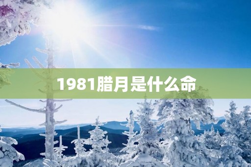 1981腊月是什么命