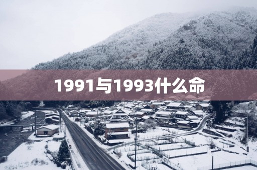 1991与1993什么命