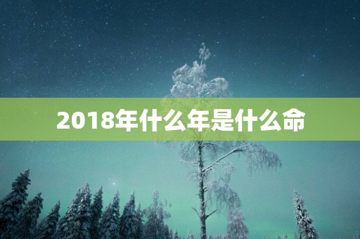 2018年什么年是什么命 2018年什么年是什么命