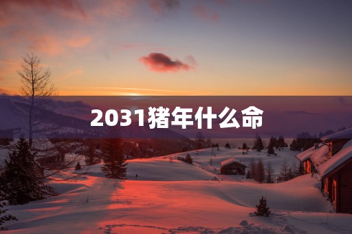 2031猪年什么命