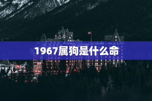 1967属狗是什么命
