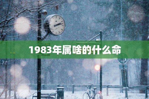 1983年属啥的什么命