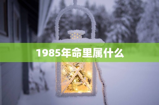 1985年命里属什么