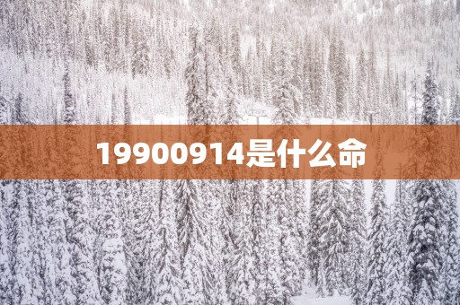 19900914是什么命