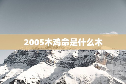 2005木鸡命是什么木