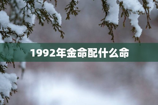 1992年金命配什么命