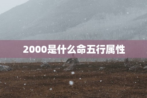 2000是什么命五行属性