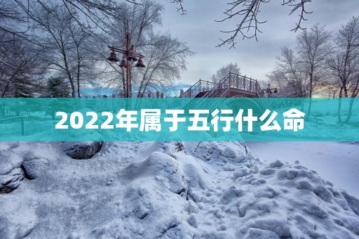 2025年属于五行什么命